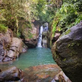 Kadavupuzha Aruvi Waterfalls Kottayam 